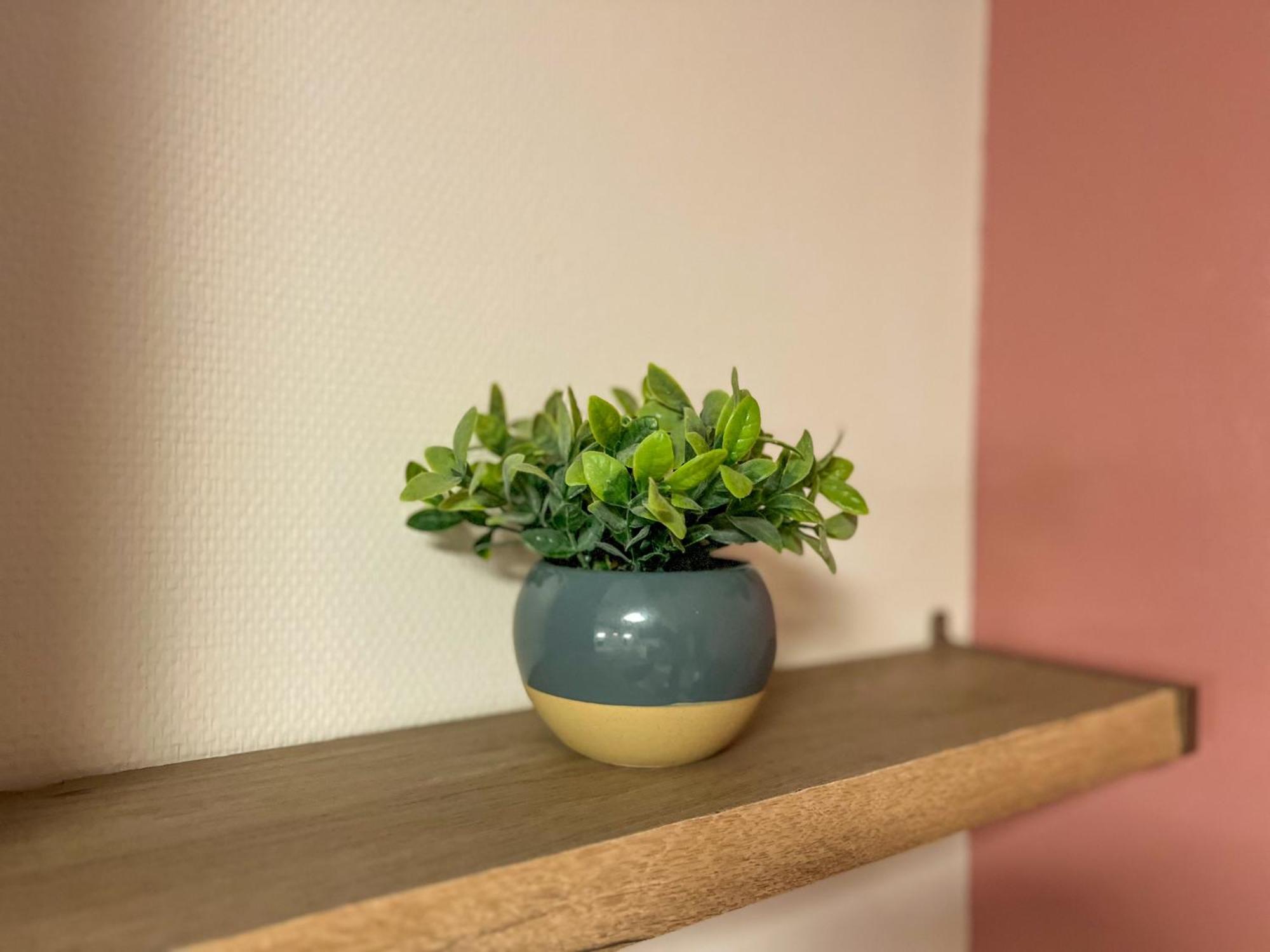 Très bel appartement au coeur du centre ville MONTAIGNE Périgueux Esterno foto